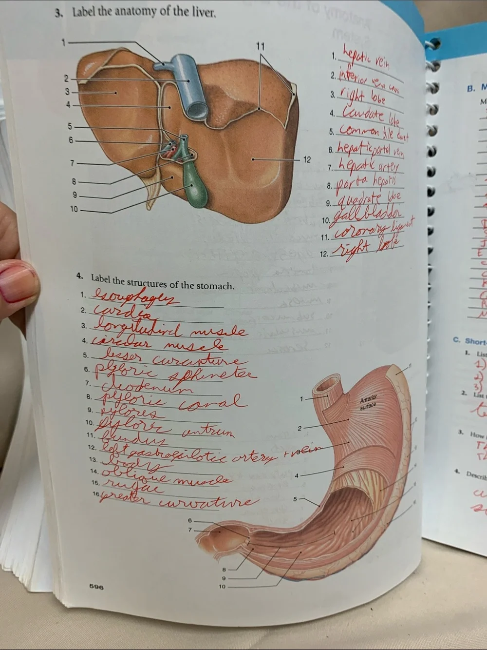 Pearson laboratory manual